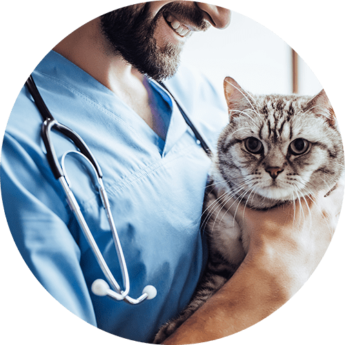 resident physicians dentists-vets financial planning