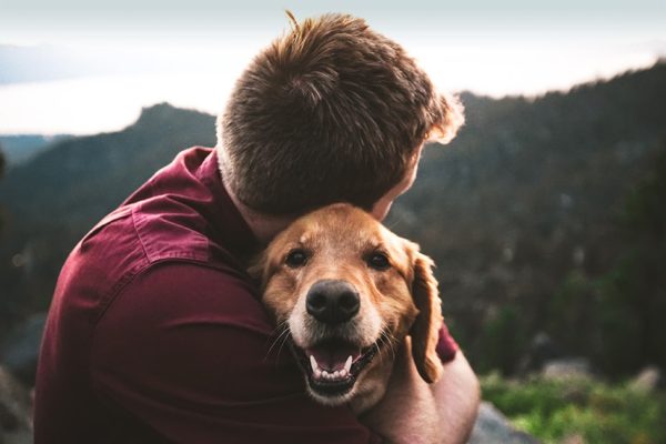 Raising Awareness of Mental Health for Veterinarians, and How to Help thumbnail