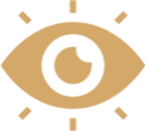 Vision Icon - Eye
